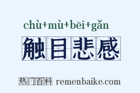 触目悲感是什么意思的图片